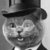 Christopher Miller thumbnail