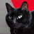 David Greenwald thumbnail